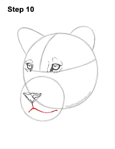 How to Draw a Lioness Head Face Portrait 10