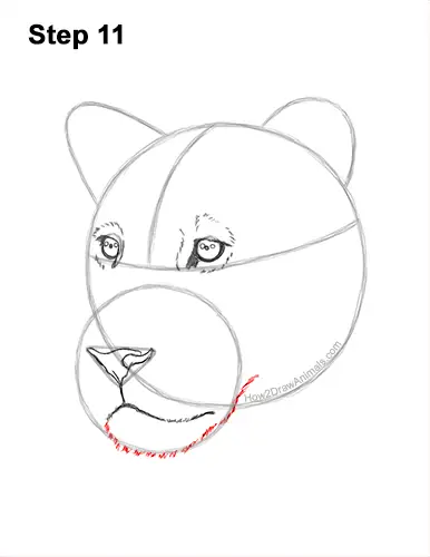 How to Draw a Lioness Head Face Portrait 11