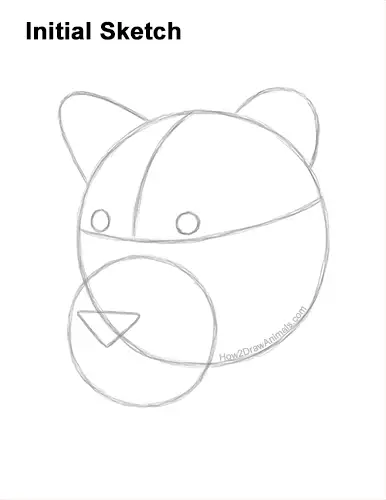 How to Draw a Lioness Head Face Portrait Guides Lines