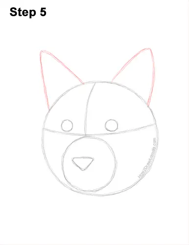 How to Draw a Lynx Bobcat Head Face Portrait 5