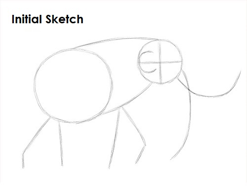 Draw a Mammoth Sketch