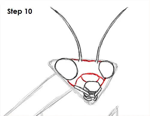 Draw Praying Mantis 10