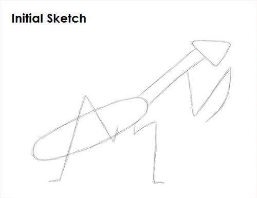 Draw Praying Mantis Initial Sketch