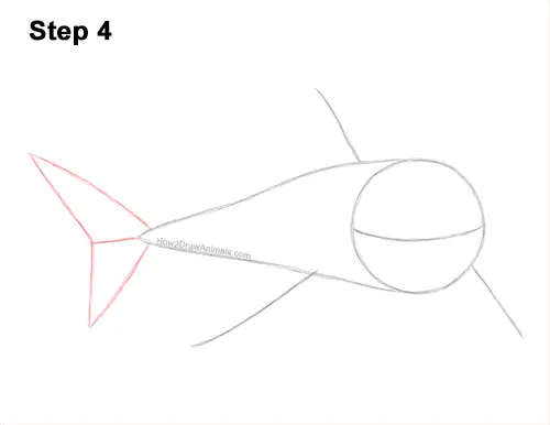 How to Draw a Megalodon Shark Open Mouth 4