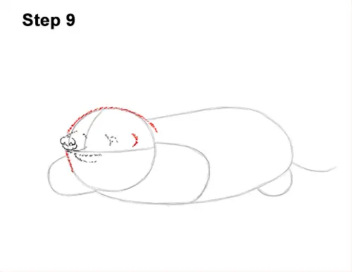 How to Draw a Mole VIDEO & Step-by-Step Pictures