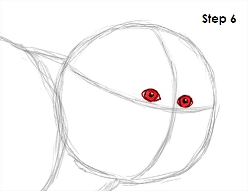 Capuchin Monkey Drawing 6 Draw Capuchin Monkey 6