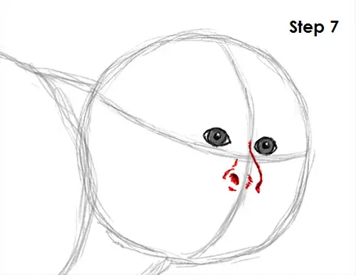 Capuchin Monkey Drawing 7 Draw Capuchin Monkey 7