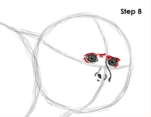 Capuchin Monkey Drawing 8 Draw Capuchin Monkey 8