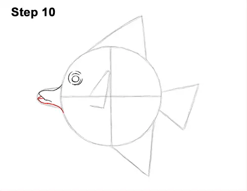 How to Draw Moorish Idol Fish 10