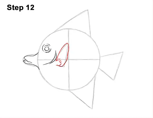 How to Draw Moorish Idol Fish 12