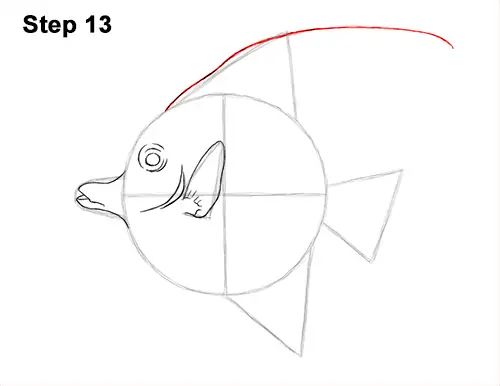 How to Draw Moorish Idol Fish 13