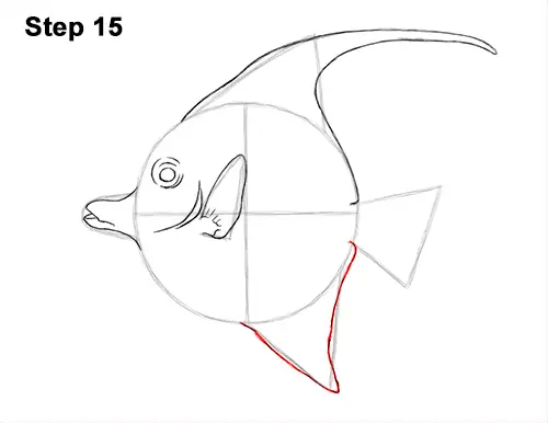 How to Draw Moorish Idol Fish 15
