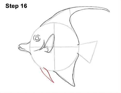 How to Draw Moorish Idol Fish 16