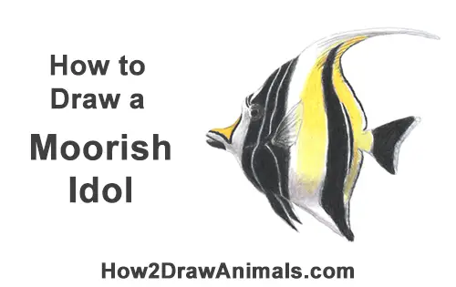 How to Draw Moorish Idol Black Yellow Fish Nemo Gill