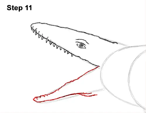 Draw Mosasaurus Dinosaur Jurassic 11