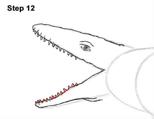 Draw Mosasaurus Dinosaur Jurassic 12