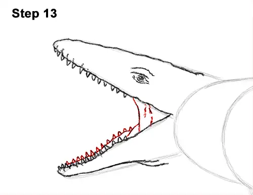 Draw Mosasaurus Dinosaur Jurassic 13