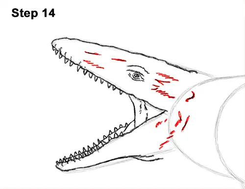 Draw Mosasaurus Dinosaur Jurassic 14