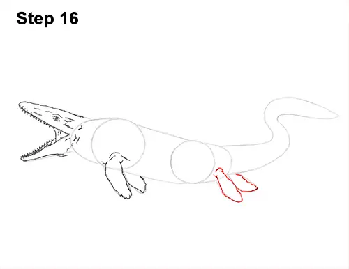 Draw Mosasaurus Dinosaur Jurassic 16