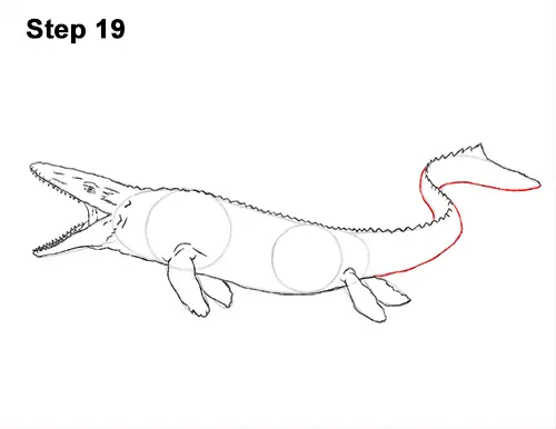 Draw Mosasaurus Dinosaur Jurassic 19