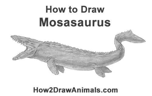 How to Draw a Mosasaurus Dinosaur Jurassic