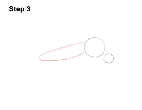 How to Draw a Mosquito VIDEO & Step-by-Step Pictures