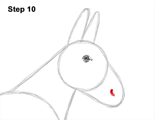 How to Draw a Mule Horse Donkey Side View 10