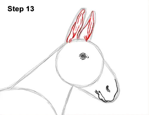How to Draw a Mule Horse Donkey Side View 13