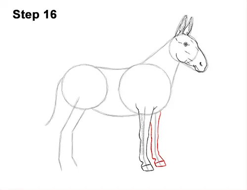 How to Draw a Mule Horse Donkey Side View 16