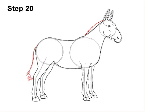 How to Draw a Mule Horse Donkey Side View 20