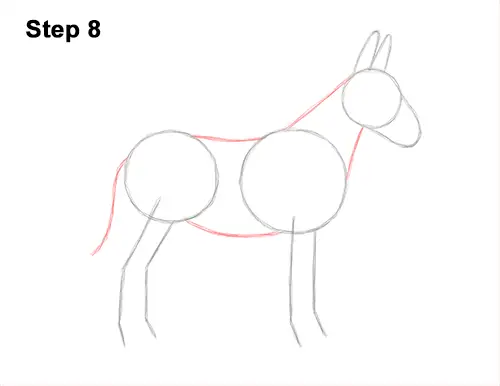How to Draw a Mule Horse Donkey Side View 8
