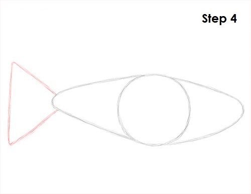 Draw Neon Tetra Fish 4