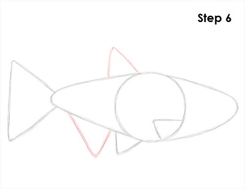 Neon Tetra Drawing 6 Draw Neon Tetra Fish 6