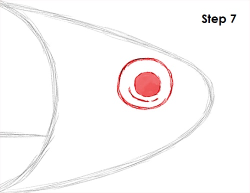Neon Tetra Drawing 7 Draw Neon Tetra Fish 7