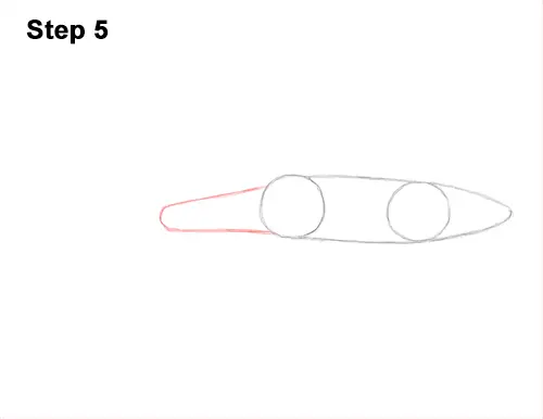 How to Draw a Nurse Shark 5