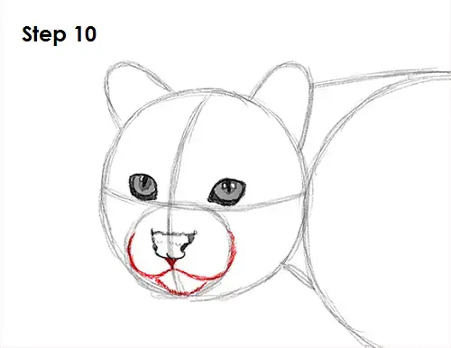 Draw Ocelot 10