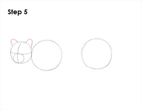 Draw Ocelot 5