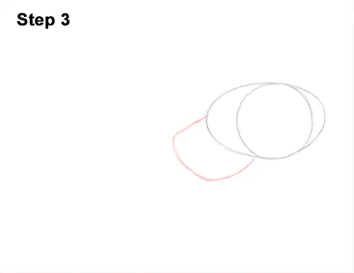 How to Draw an Octopus Swimming Tentacles 3