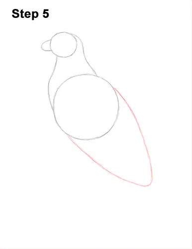 How to Draw Osprey Seahawk Bird Side 5