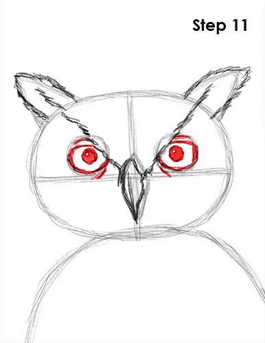 Draw Great Horned Owl 11