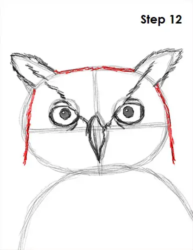 Draw Great Horned Owl 12