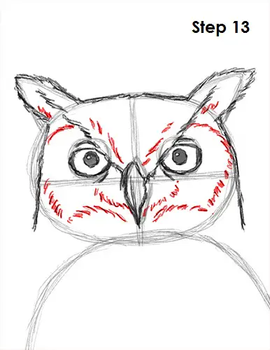 Draw Great Horned Owl 13