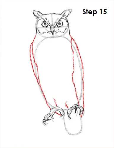 Draw Great Horned Owl 15