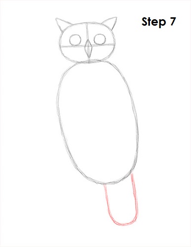 Draw Great Horned Owl 7