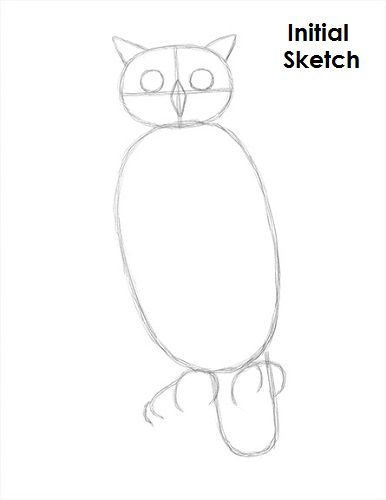 Draw Great Horned Owl Sketch