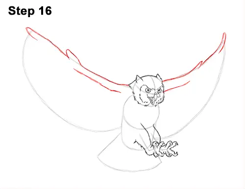 How to Draw a Great Horned Owl Flying Hunting Wings 16