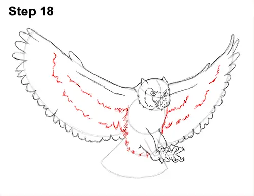 How to Draw a Great Horned Owl Flying Hunting Wings 18