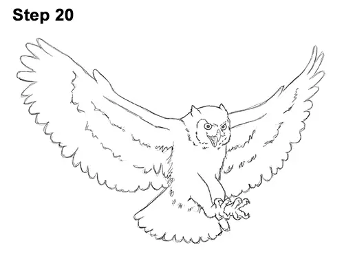 How to Draw a Great Horned Owl Flying Hunting Wings 20