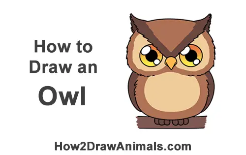 How to Draw Little Baby Small Cute Cartoon Owl Chibi Manga