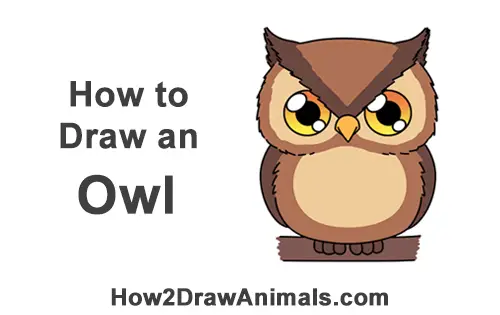 How To Draw An Owl Cartoon Video Step By Step Pictures